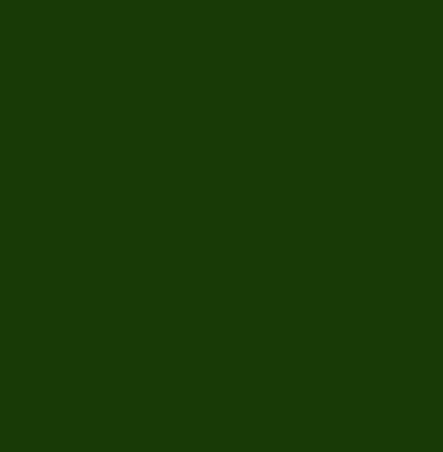 trianbackground